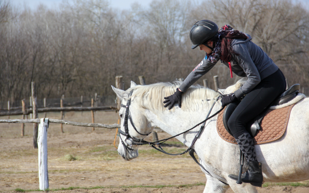 Milyen felszerelés kell a lovaglás elkezdéséhez?