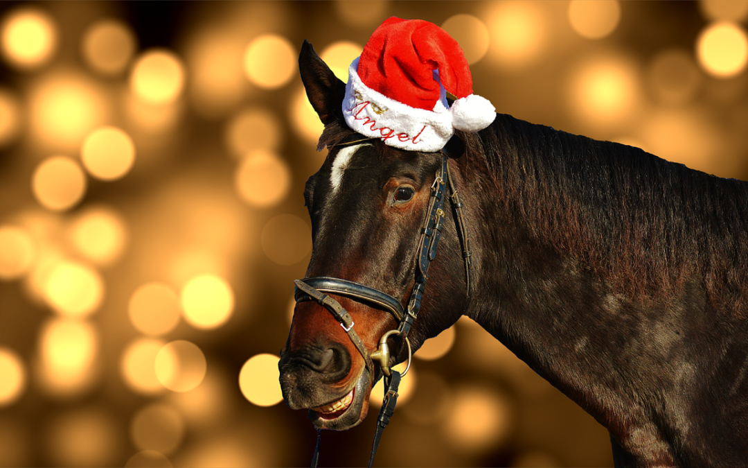 Karácsonyi ajándékötletek lovasoknak – mi legyen a fa alá?